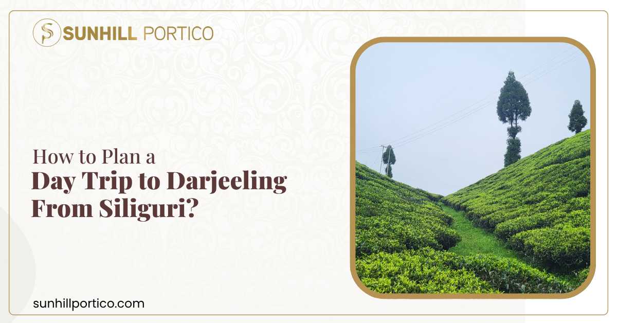 How to Plan a Day Trip to Darjeeling from Siliguri