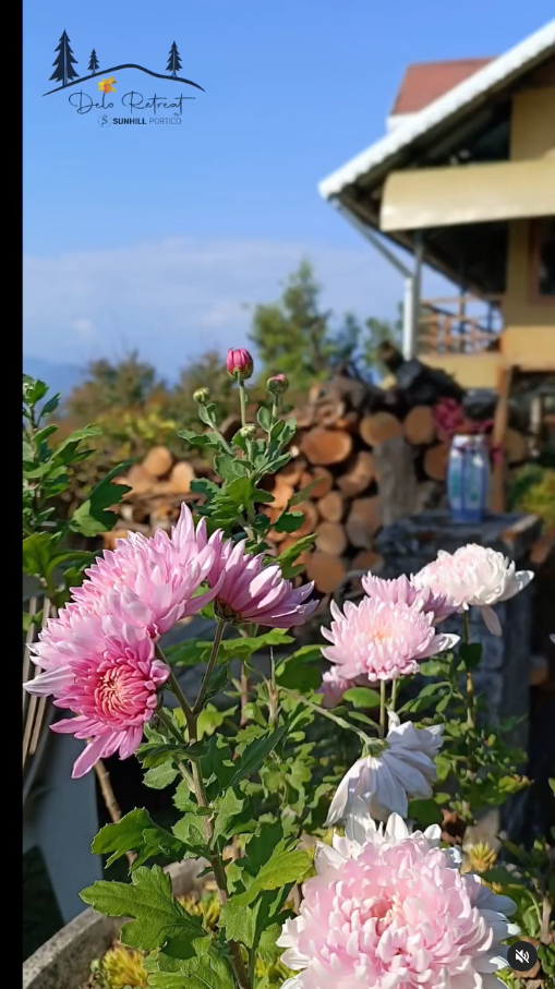 Elevate Your Senses: Discover Delo Retreat ðŸŒ²