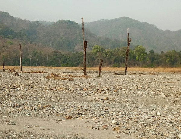 Mahananda Wildlife Sanctuary